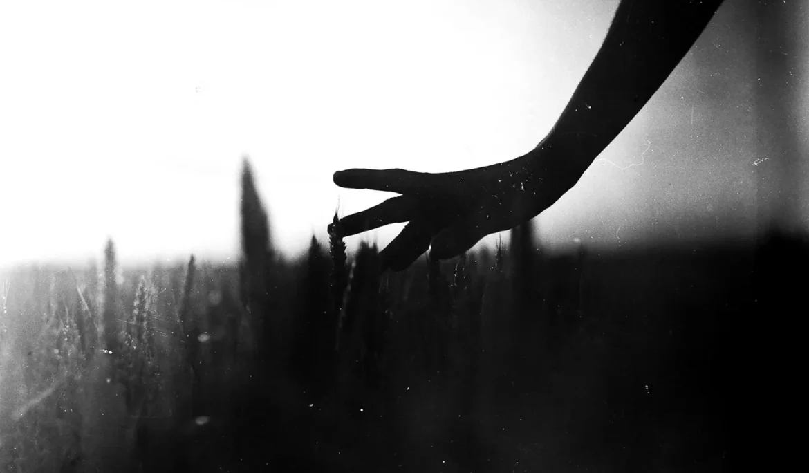 Szántó Szabolcs - 2021 Artphoto - Időkapu