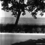 Szántó Szabolcs - Közelítés a megfoghatatlanhoz (2022) – Kép 22