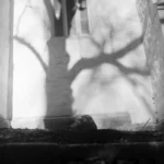 Szántó Szabolcs - Közelítés a megfoghatatlanhoz (2022) – Kép 14