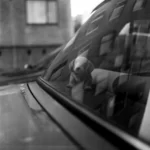 Szántó Szabolcs - Közelítés a megfoghatatlanhoz (2022) – Kép 12